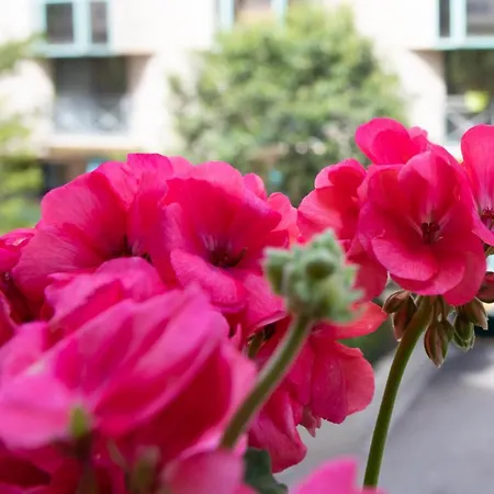 Boutique La Lavande Free Parking Center